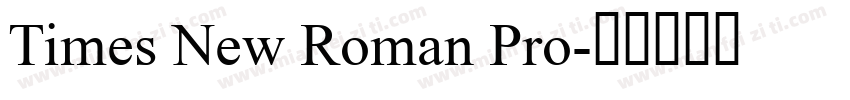 Times New Roman Pro字体转换